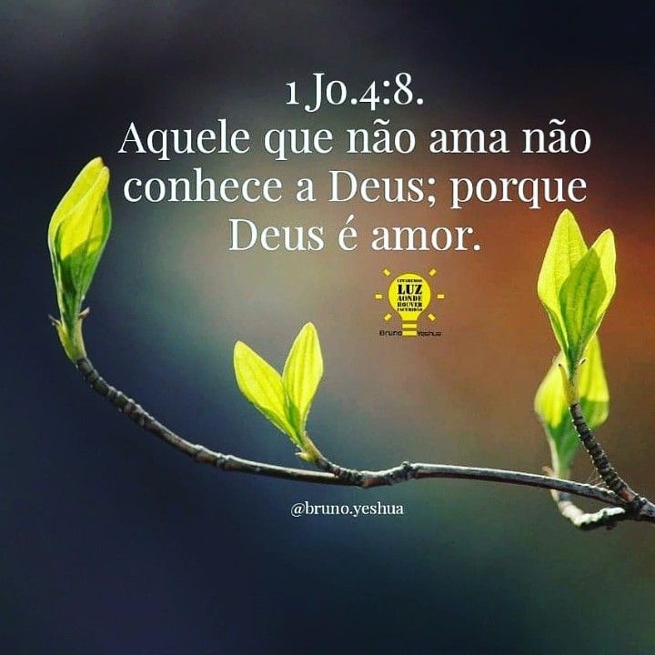 biblia em portugues online